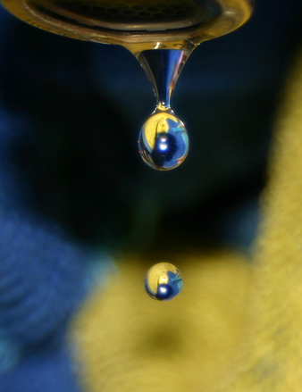 Don&rsquo;t Get Soaked: Water Damage In Your Home