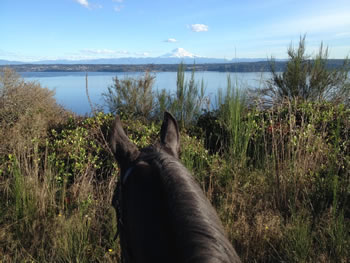 Mt Ranier from the shores of Vashon Island